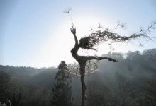 用不锈钢丝编织的婀娜仙子